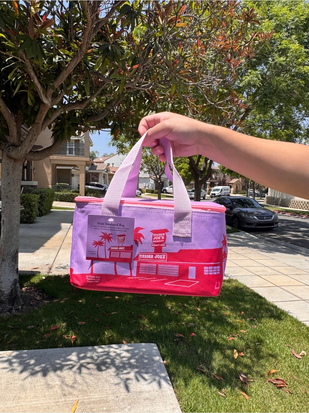 Trader Joe's Pink and Lavender Mini Insulated Bag